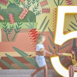 Wayfinding and Signage for South Molton cover image