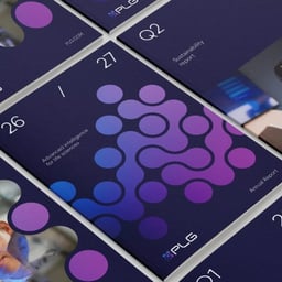 PLG Brand Transformation cover image
