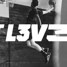 Brand Identity and Relaunch Campaign for adidas Basketball cover image