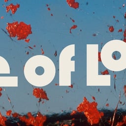Key Art for National Geographic's Fire of Love cover image