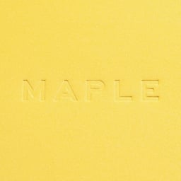 Brand Identity for Maple Food Delivery cover image
