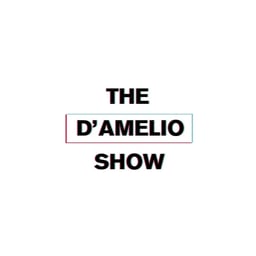 Graphic Package for the D’Amelio Show On Hulu cover image