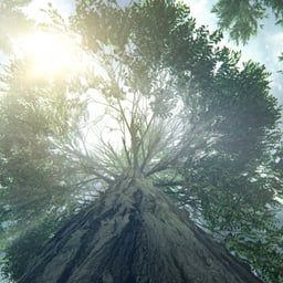 Cinematic Campaign for Dolby Cinema cover image