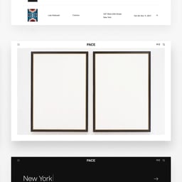 Digital Platform Redesign for Pace Gallery cover image