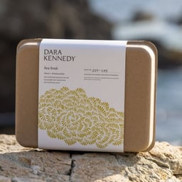 Dara Kennedy - Jason Schulte Design design work cover image