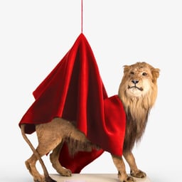 Anniversary Campaign for Naturalis Museum cover image