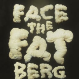 Campaign for Museum of London Exhibition Fatberg cover image