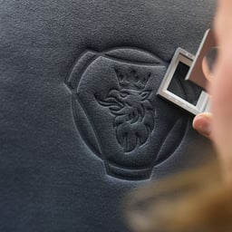 Brand Governance for Scania cover image