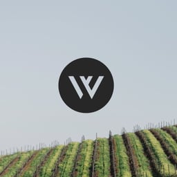 Brand Identity for Weinfreunde Wine Marketplace cover image