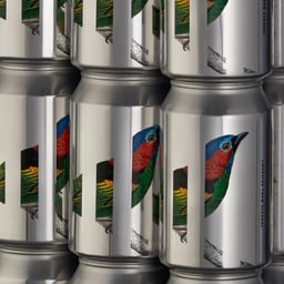Packaging Design for Oddbird Tanager IPA cover image