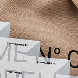 Editorial Design for the Leporello Series cover image