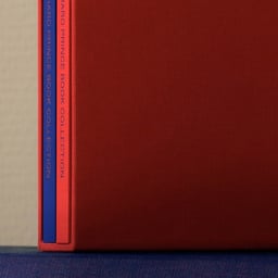 Editorial Design for the Size of My Richard Prince Book Collection cover image