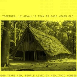 Website Design for Liljewall cover image