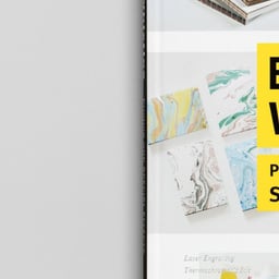 Publication Design for Bells & Whistles cover image