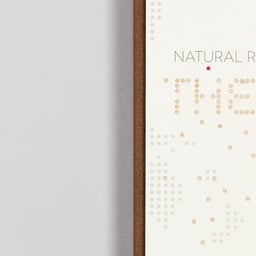Editorial Design for Natural Recall Book cover image