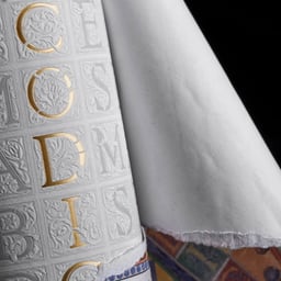 Wine Packaging for Códice cover image