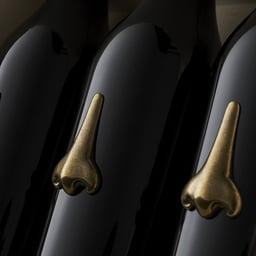 Packaging for Petit Comité Wine cover image