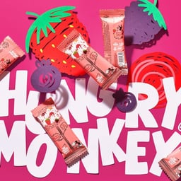 Brand Identity for Hungry Monkey Fruit Bars cover image