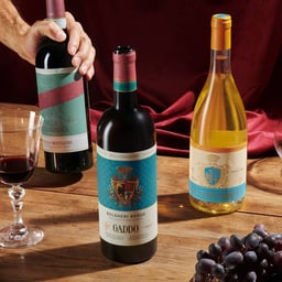 Brand Identity for Della Gherardesca cover image