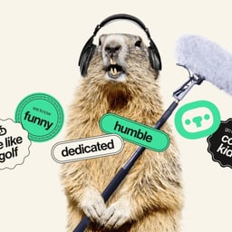 Website and Identity for Gopher Productions cover image