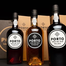 Website Design for Vteja Porto cover image