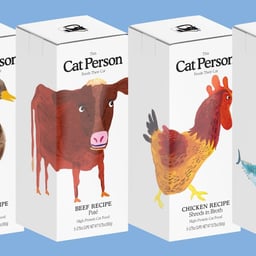 Brand Identity for Cat Person cover image