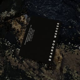 Portfolio Website and Identity for a Film Director cover image