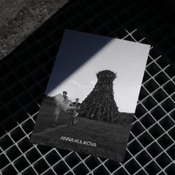 Anna Kulikova - NAAU design work cover image