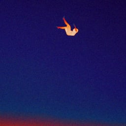 WWF - NOMINT design work cover image