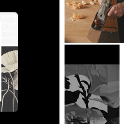 Brand Identity for Inclusive Workshops cover image