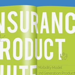 Data Visualization Print Book for Health Hiway cover image