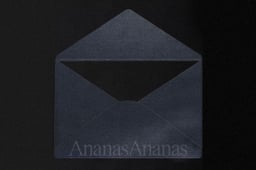 Ananas Ananas - Bontemps design work cover image