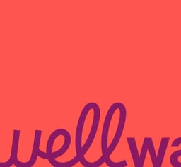 Branding and Website Design for a Food Container Startup cover image