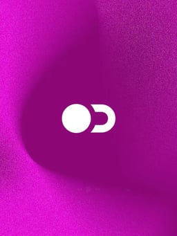 Brand Identity for a Digital Privacy Crusader cover image