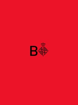 Motion Identity for Barcelona City Council cover image