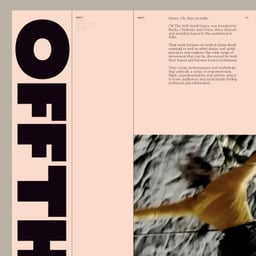 Brand Identity and Website for Off the Wall Aerial cover image