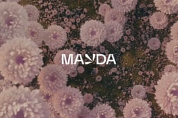 Brand Identity for Mayda cover image