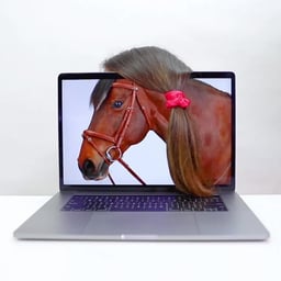 Social Content for Hermès cover image