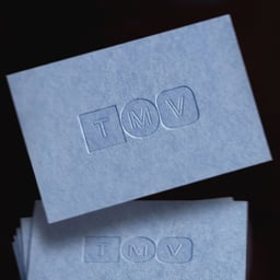 Brand Identity for TMV cover image