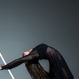 Identity design for a contemporary dance festival  cover image