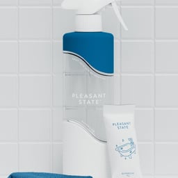 Branding and Packaging for Pleasant State cover image