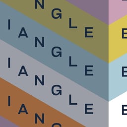Neighborhood Branding for Everett Triangle cover image