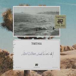 Brand Identity for Tortuga Pool Bar cover image