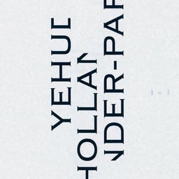 Website Design for Yehudi Hollander Pappi Gallery cover image