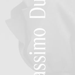Website Design for Massimo Dutti cover image