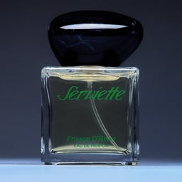 Branding and Packaging for Serviette cover image