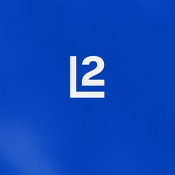 Brand Identity and Website for Liquid 2 cover image