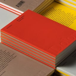 Visual Identity and Editorial Design for Buen Dolor Publishing House cover image