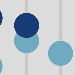 Website Design for Drug Pricing Lab at Memorial Sloan Kettering Cancer Center cover image