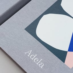 Brand Identity for Adela Boutique Apartments cover image